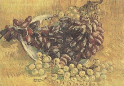 Vincent Van Gogh Still life wtih Grapes (nn04) Sweden oil painting art